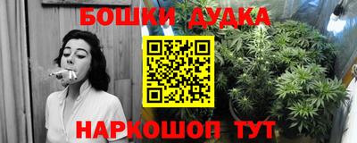 ешки Обь