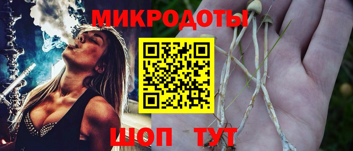 Псилоцибиновые грибы прущие грибы Рузаевка